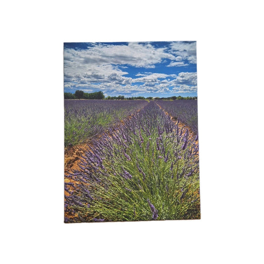 Digitaldruck Bild Lavendel Felder NEU  Lila Grün Blau Weiß 60x80 cm