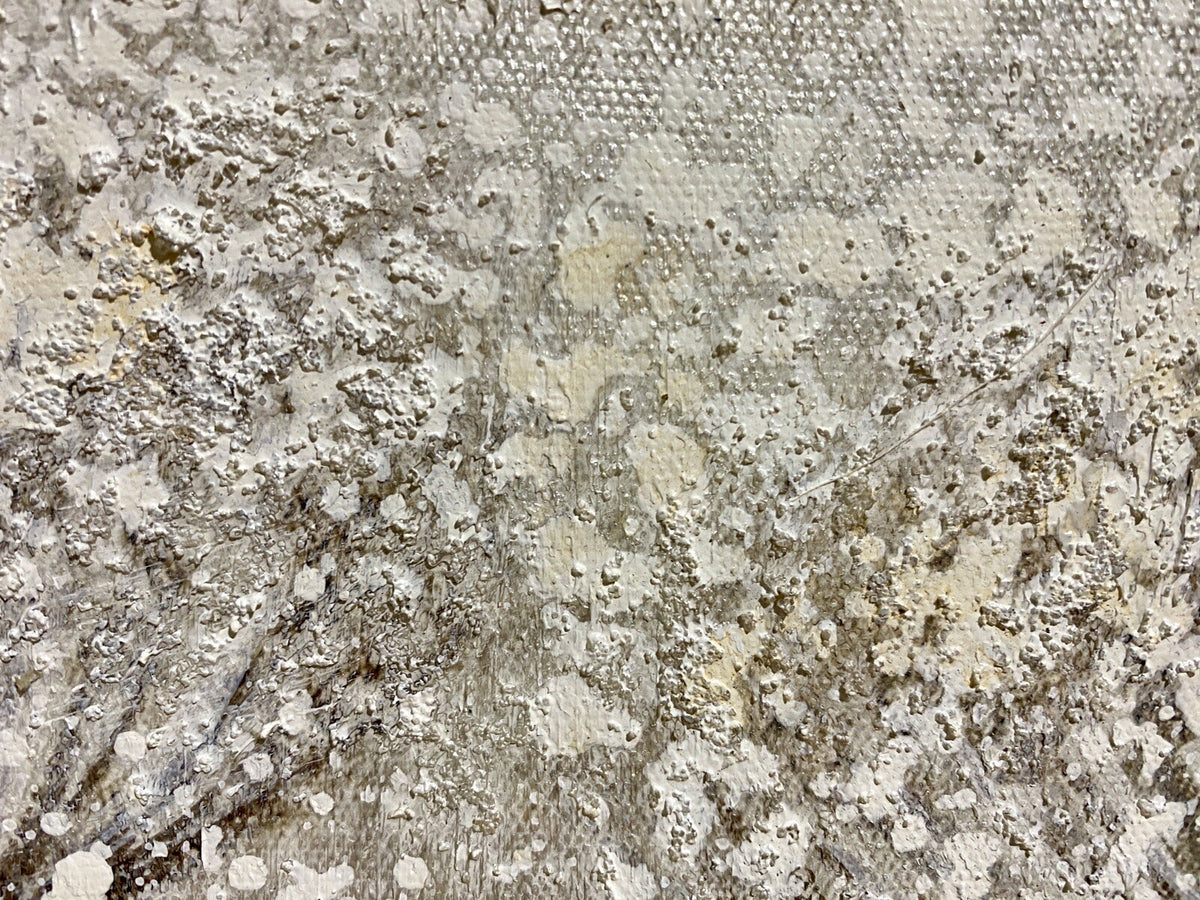 Casablanca Gemälde Pusteblume NEU Grau Creme Natur 30x30cm