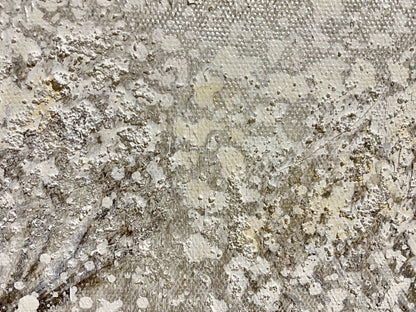 Casablanca Gemälde Pusteblume NEU Grau Creme Natur 30x30cm