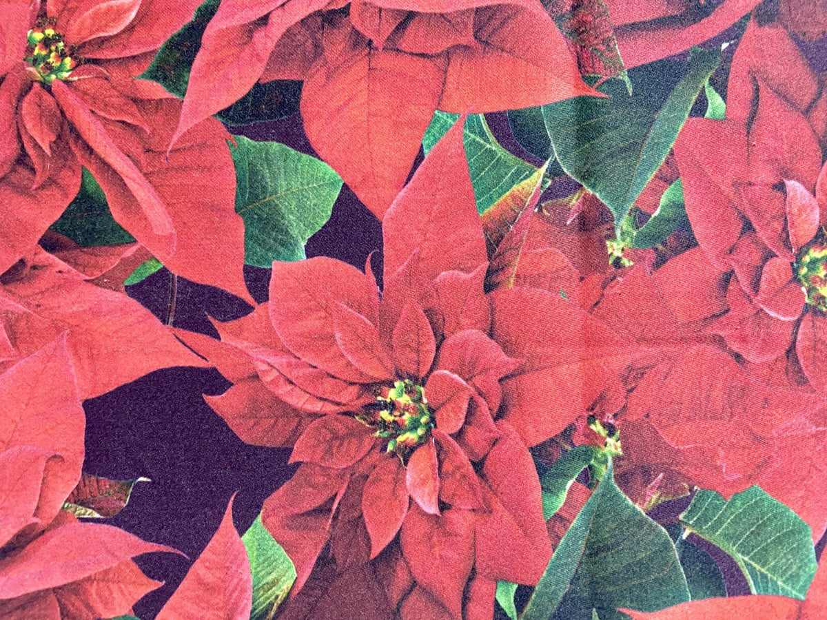 Apelt Weihnachts-Tischläufer Weihnachtsstern Digitaldruck Rot Grün 48x140cm