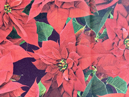 Apelt Weihnachts-Tischläufer Weihnachtsstern Digitaldruck Rot Grün 48x140cm