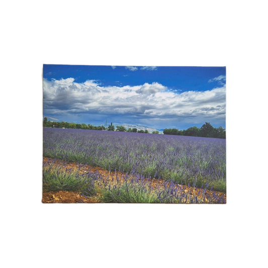Digitaldruck Bild Lavendel Felder NEU  Lila Grün Blau Weiß 80x60 cm