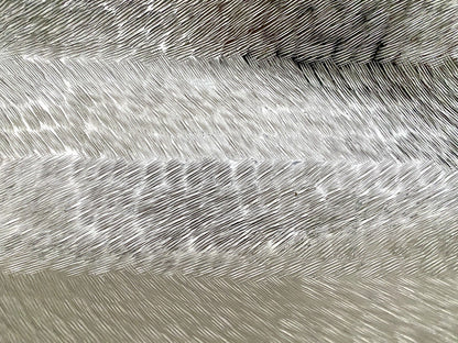 Casablanca moderne Aluminium Schale SINAR NEU Strukturiert Silber 68 cm Lang