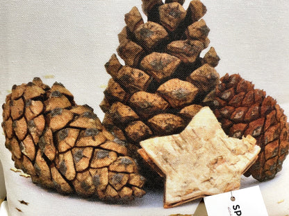 Sprügel Weihnachts-Kissenhülle bedruckt NEU Zapfen Creme Braun 45x45cm