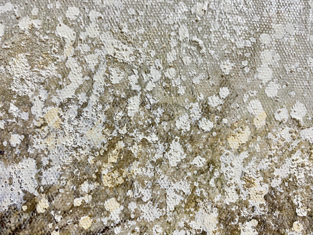 Casablanca Gemälde Pusteblume NEU Grau Creme Natur 30x30cm