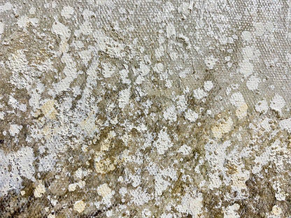 Casablanca Gemälde Pusteblume NEU Grau Creme Natur 30x30cm