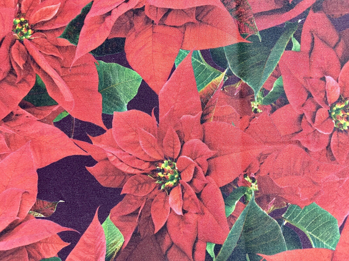 Apelt Weihnachts-Tischläufer Weihnachtsstern Digitaldruck Rot Grün 48x140cm